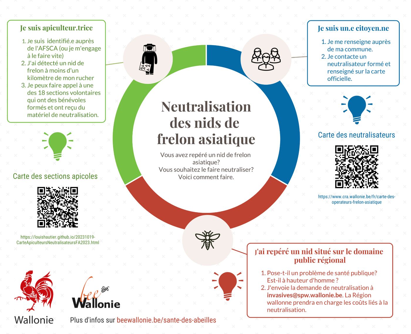 Infographie « Neutralisation des nids de frelon asiatique » de la Wallonie et de Bee Wallonie, en trois volets. Apiculteur : être identifié auprès de l’AFSCA, avoir détecté un nid à moins d’un kilomètre du rucher, faire appel à l’une des 18 sections volontaires dont les bénévoles sont formés et équipés. Citoyen : se renseigner auprès de sa commune et contacter un neutralisateur formé repris sur la carte officielle. Nid sur le domaine public régional : se demander s’il pose un problème de santé publique ou s’il est à hauteur d’homme, puis envoyer la demande à invasives@spw.wallonie.be ; la Région prend en charge les coûts de la neutralisation.