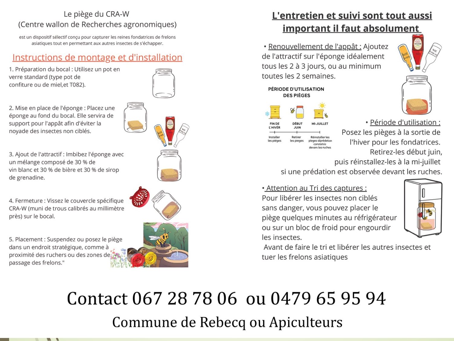 Fiche en deux parties. À gauche, instructions de montage du piège du CRA-W : 1. un pot en verre standard ; 2. une éponge au fond ; 3. imbiber l’éponge d’un mélange de 30 % de vin blanc, 30 % de bière et 30 % de sirop de grenadine ; 4. visser le couvercle spécifique CRA-W ; 5. suspendre ou poser le piège à un endroit stratégique. À droite, entretien : renouveler l’appât tous les 2 à 3 jours ou au minimum toutes les 2 semaines ; poser les pièges à la sortie de l’hiver, les retirer début juin, les réinstaller à la mi-juillet si une prédation est constatée devant les ruches ; pour trier les captures, placer le piège quelques minutes au réfrigérateur afin d’engourdir les insectes avant de libérer les autres insectes et de tuer les frelons asiatiques.