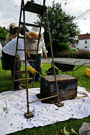 Chez Pierre Lucas à Hennuyères, photo 4