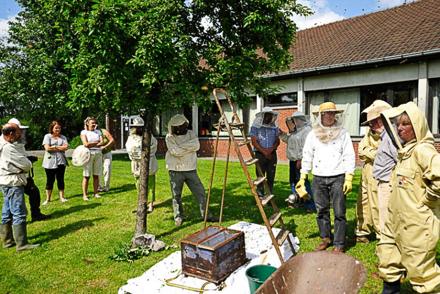Chez Pierre Lucas à Hennuyères, photo 11