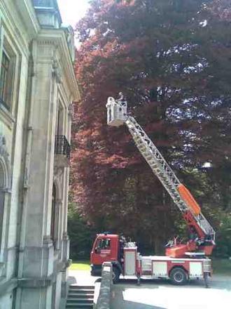 Récupération d’essaim, photo 1