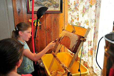 Jamais trop jeune pour bien faire !, photo 9