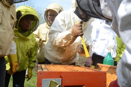 Vive l’école d’apiculture !, photo 5