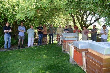 Extraction au rucher école, photo 6