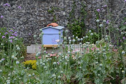 Visite au jardin, photo 2
