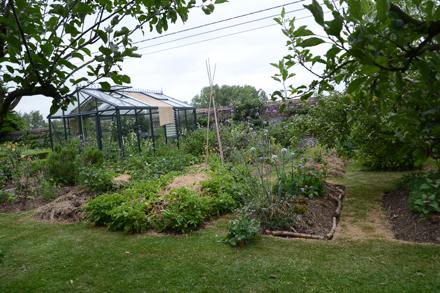 Visite au jardin, photo 4