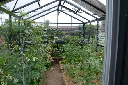 Visite au jardin, photo 6