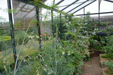 Visite au jardin, photo 7