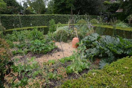 Visite au jardin, photo 9