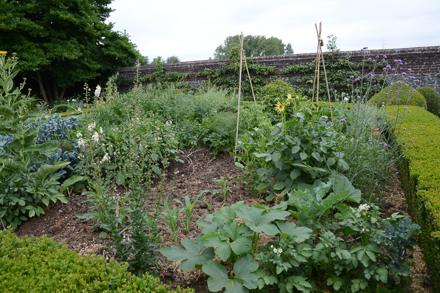Visite au jardin, photo 10