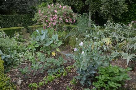 Visite au jardin, photo 11