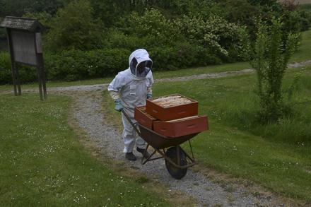 Extraction et visite au rucher école, photo 1