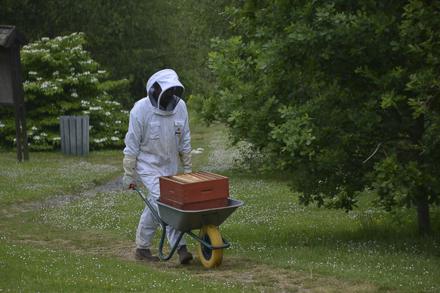 Extraction et visite au rucher école, photo 2