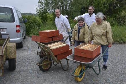 Extraction et visite au rucher école, photo 3