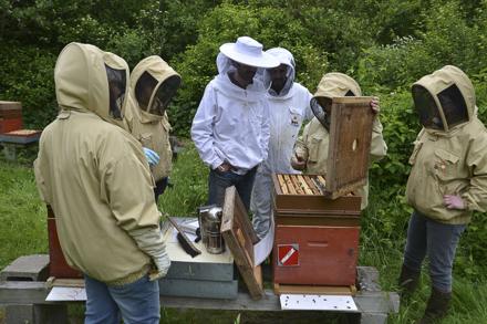 Extraction et visite au rucher école, photo 5