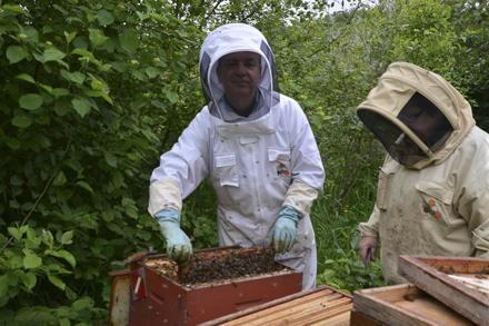 Extraction et visite au rucher école, photo 6