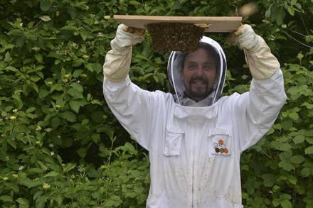 Extraction et visite au rucher école, photo 7
