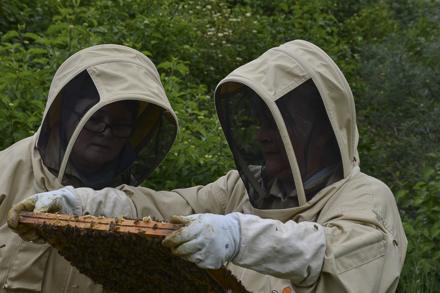Extraction et visite au rucher école, photo 11