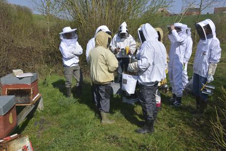 Cours pratique au rucher école le 30 mars 2019, photo 1