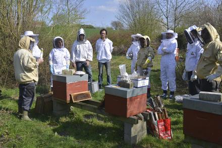 Cours pratique au rucher école le 30 mars 2019, photo 3