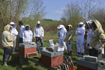 Cours pratique au rucher école le 30 mars 2019, photo 4