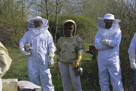 Cours pratique au rucher école le 30 mars 2019, photo 6