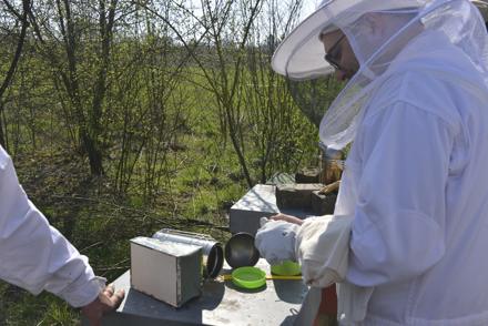 Cours pratique au rucher école le 30 mars 2019, photo 7