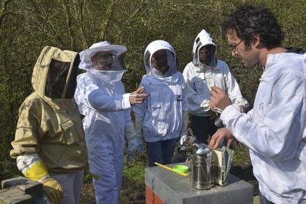 Cours pratique au rucher école le 30 mars 2019, photo 8