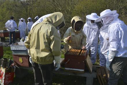Cours pratique au rucher école le 30 mars 2019, photo 9
