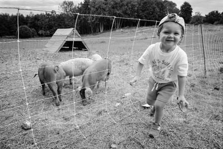 BBQ annuel 2022, photo 1