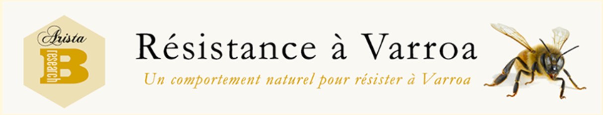 Bandeau d’Arista Bee Research : « Résistance à Varroa — Un comportement naturel pour résister à Varroa », avec une abeille.