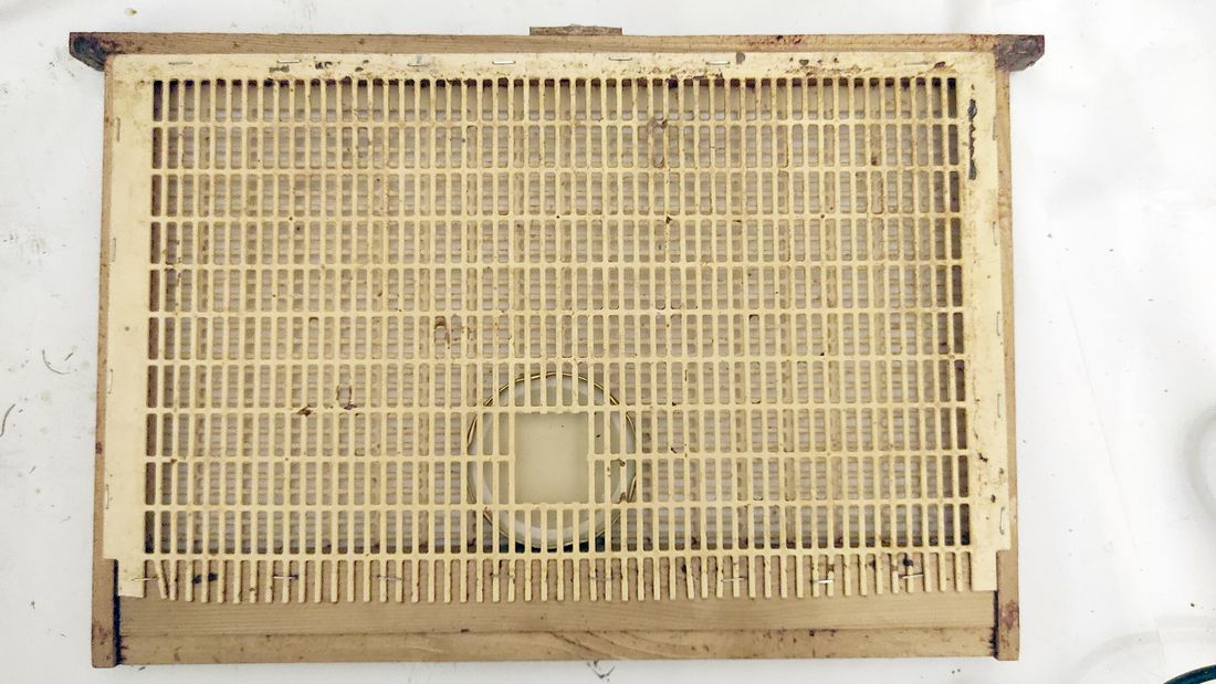 Cage artisanale déjà utilisée, vue de face, avec sa grille à reine plastique agrafée sur le cadre en bois.