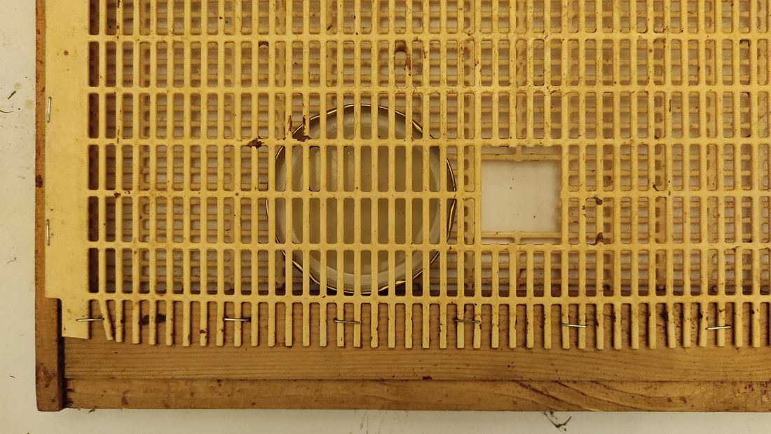 Gros plan sur un angle de la cage : grille à reine plastique agrafée au cadre en bois, couvercle métallique rond et ouverture rectangulaire dans la grille.