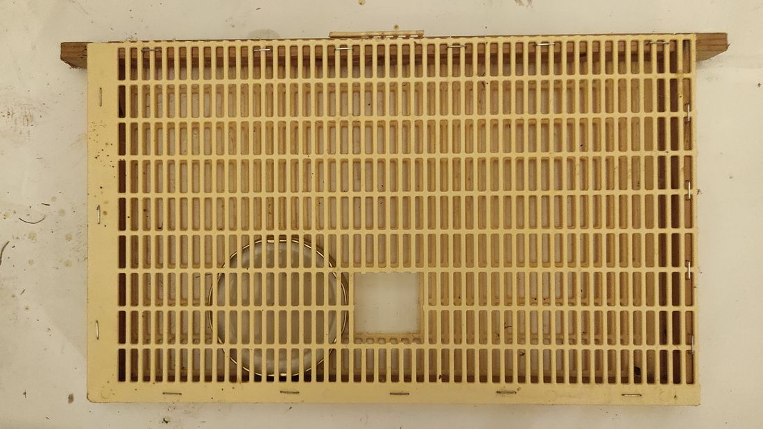 Cadre-cage vu de face : une grille à reine Nicot en plastique agrafée sur le cadre en bois, avec un couvercle métallique rond et une ouverture carrée dans la grille, et un petit clapet sur la latte supérieure.
