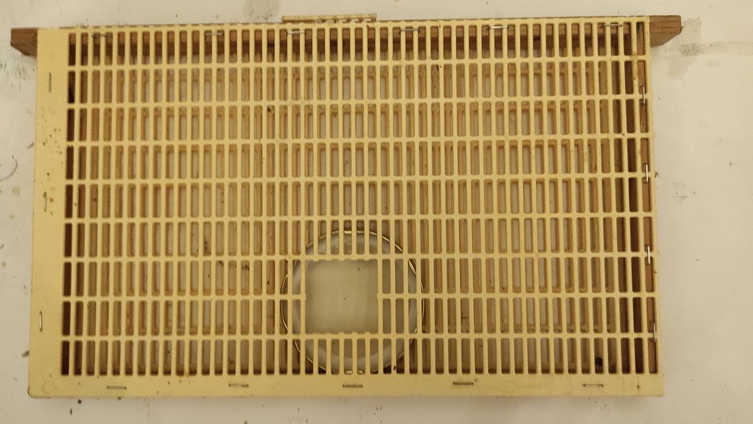 Autre vue du cadre-cage, grille à reine plastique agrafée, couvercle métallique rond et ouverture carrée dans la grille.
