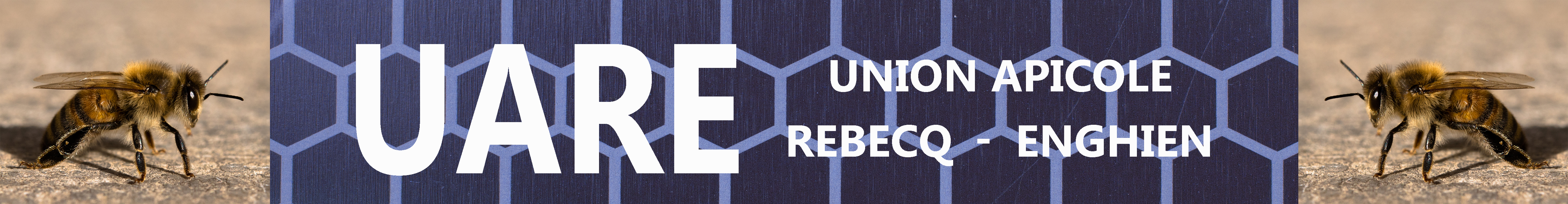 UARE — Union Apicole Rebecq-Enghien, bandeau avec abeilles et motif nid d'abeilles